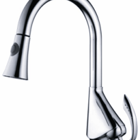 Pull out Kitchen Faucet